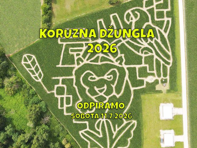 Koruzni-labirint-Ljubljana-2026-otvoritev Koruzna džungla Otvoritev