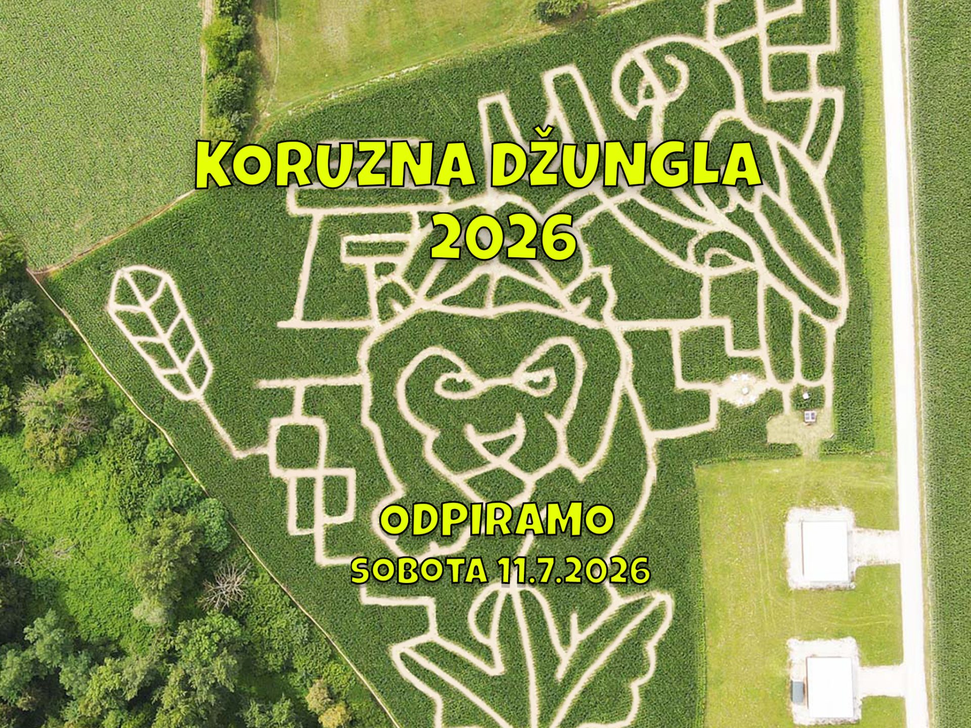 Koruzna džungla Otvoritev