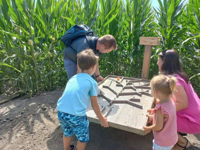 Kouza labirint in ročni labirint igra