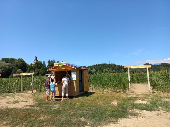 Koruza labirint in vhod