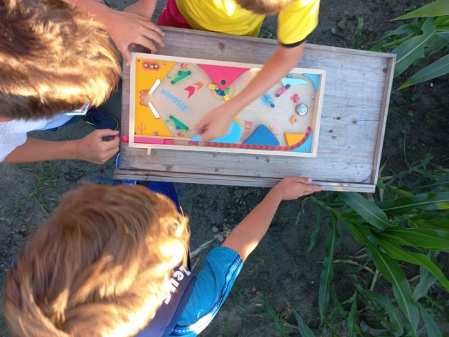 Koruzni labirint Krtina