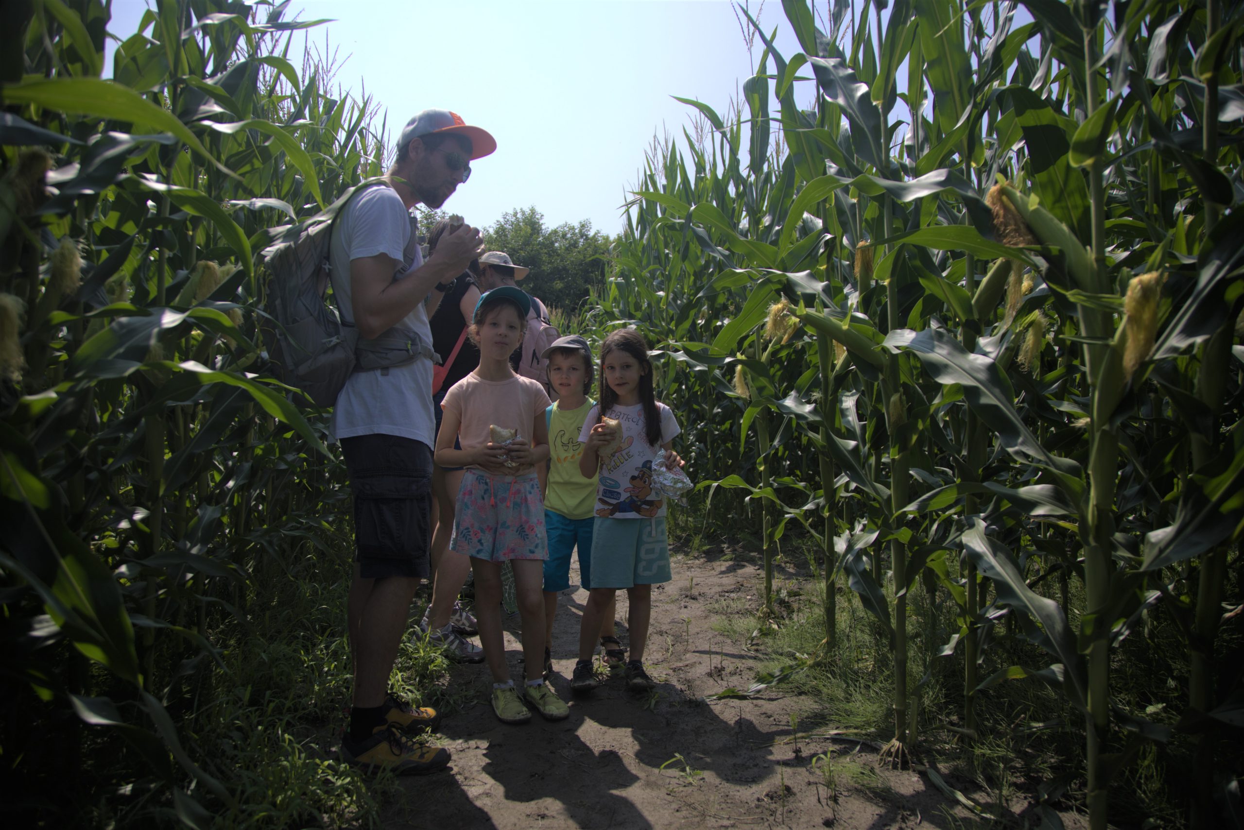 Koruzni labirint Krtina