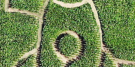 Koruzni labirint Krtina