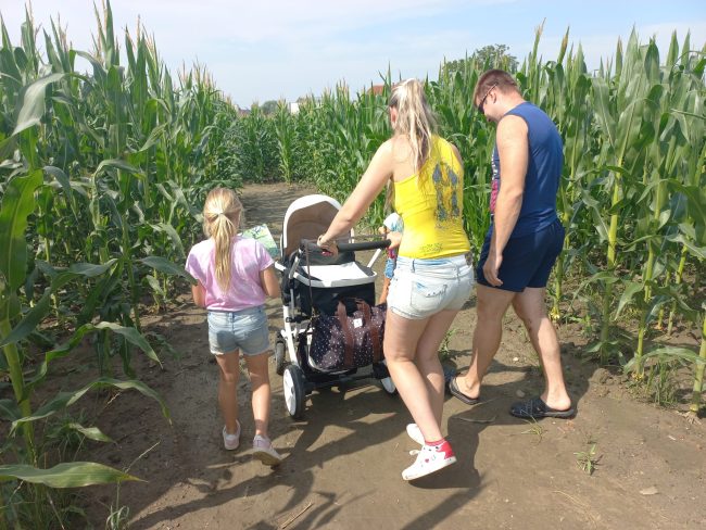 Koruzni labirint Krtina