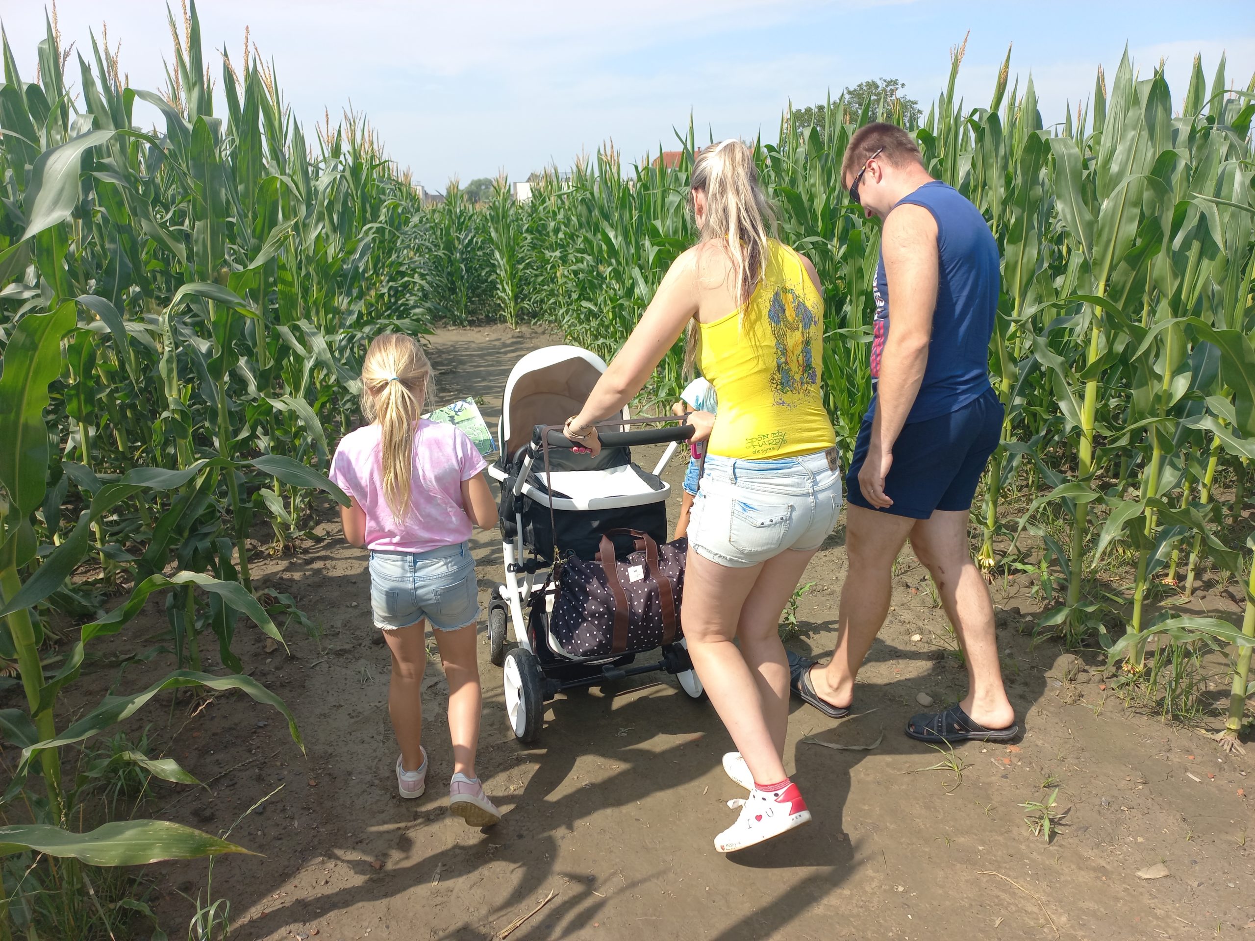 Koruzni labirint Krtina