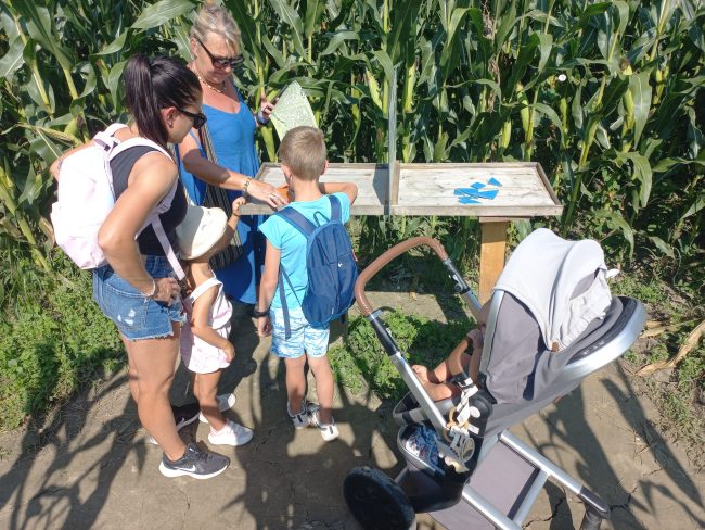 Koruzni labirint Krtina družina z vozičkom