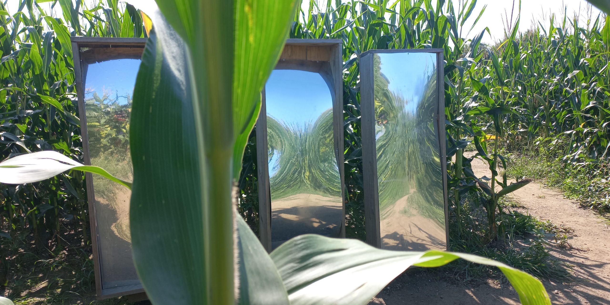 Smešna ogledala labirint koruza