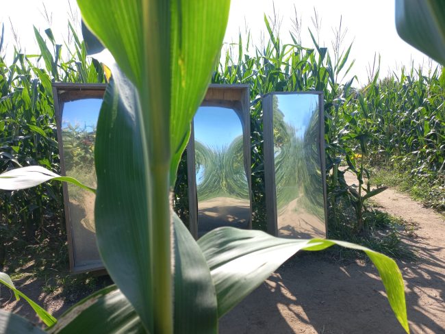 Smešna ogledala labirint koruza