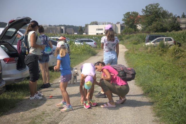 Koruzni labirint Krtina