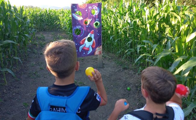 Koruzni labirint Krtina