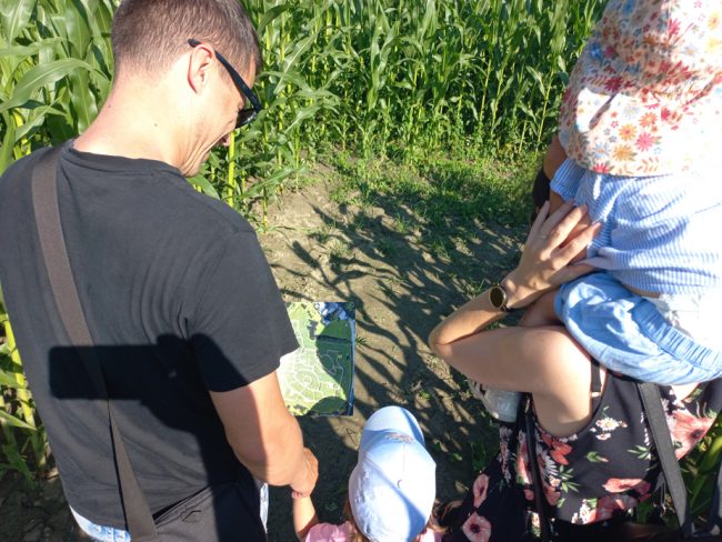 Koruzni labirint Krtina