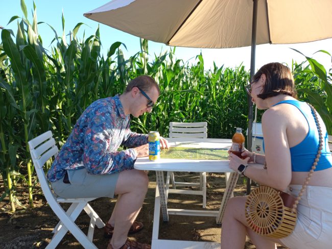 Koruzni labirint Krtina