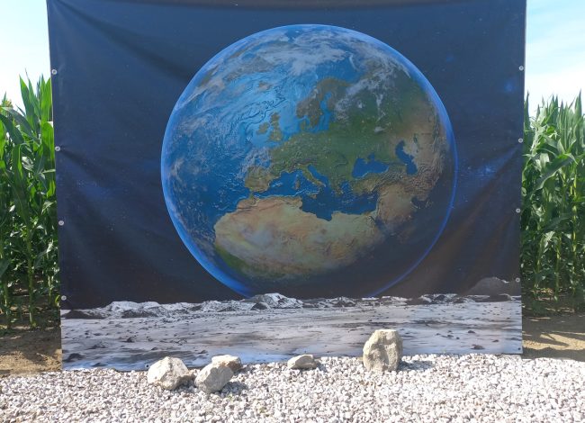 Koruzni labirint Krtina