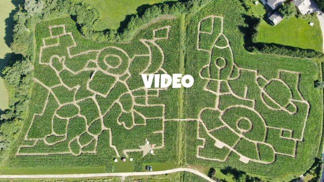 Koruzni labirint Krtina