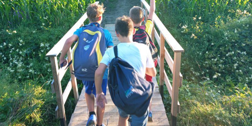 Koruzni labirint Krtina