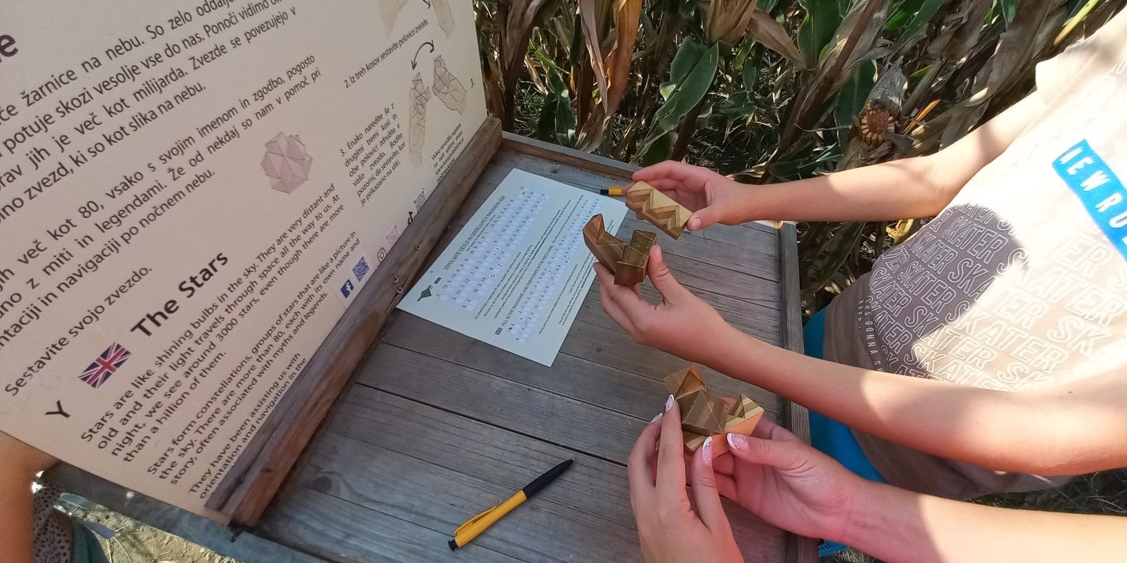 koruza labirint sestavljanka