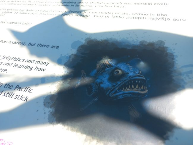 koruzni labirint - Ocean