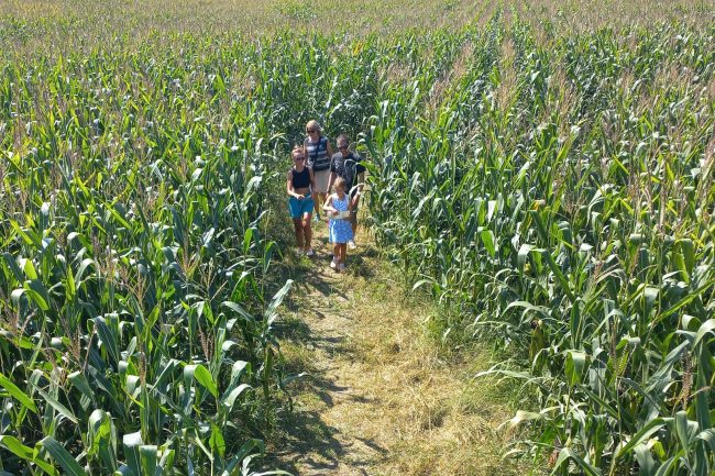 koruzni labirint družina