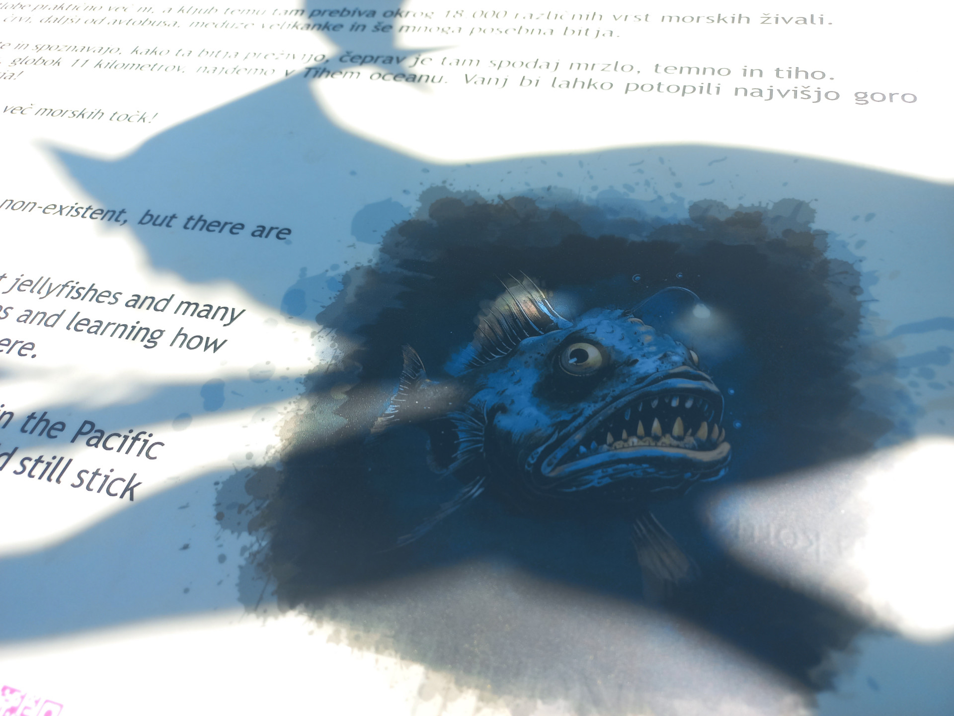 koruzni labirint - Ocean