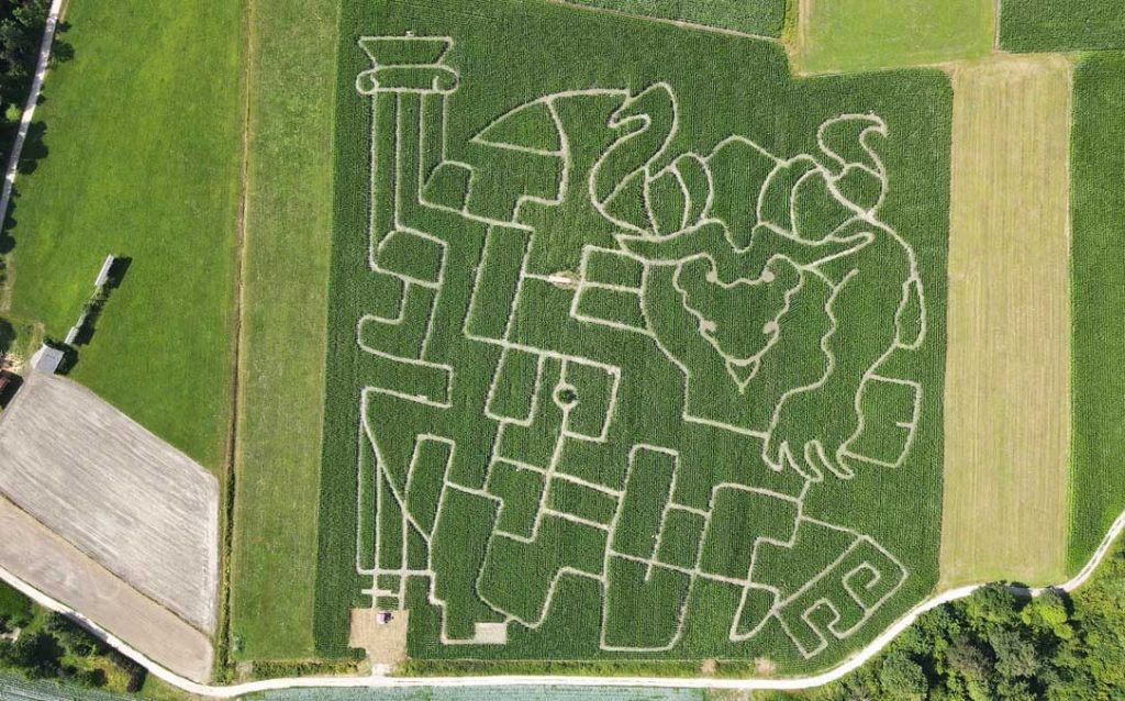 Odpiralni čas - Koruzni labirint - Labirint