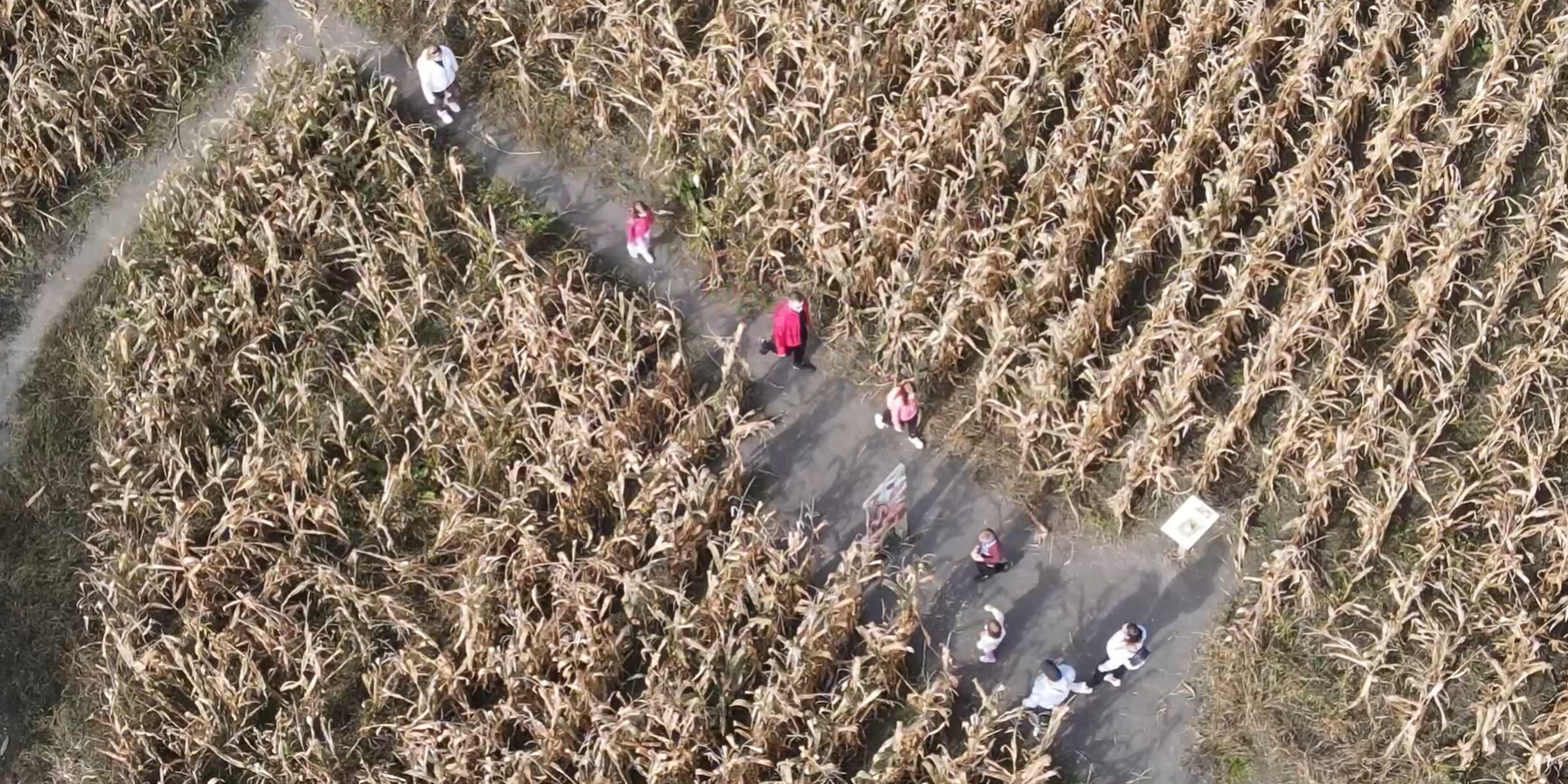 Koruzni labirint oktober