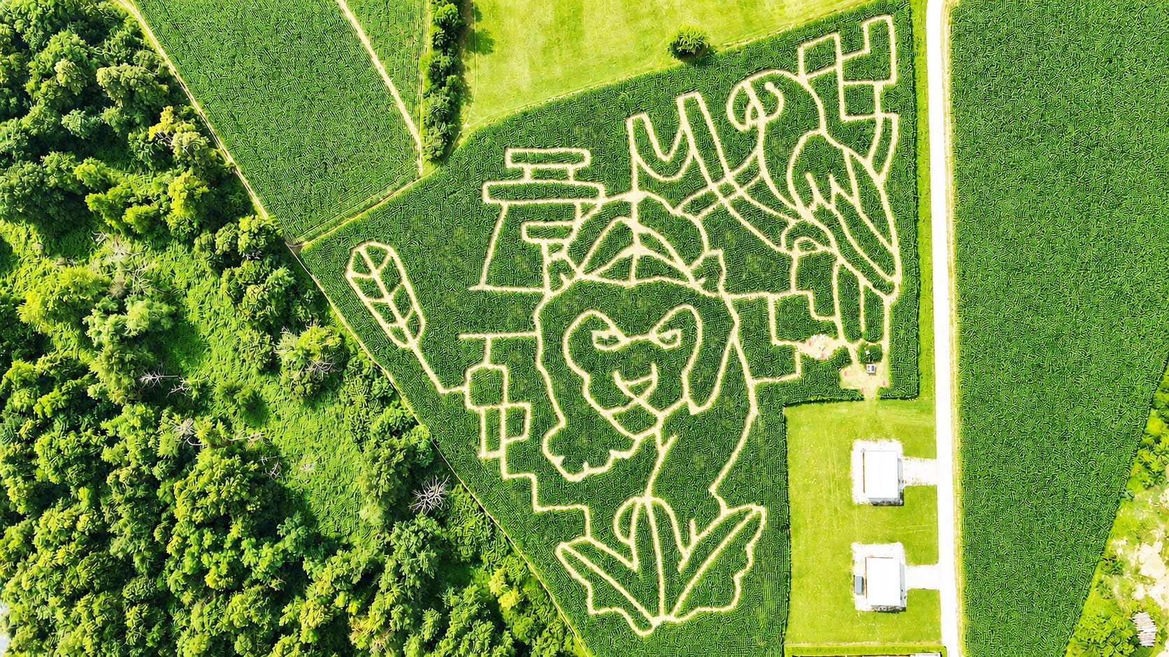 Corn-labyrinth-Ljubljana-2026 Corn labyrinth Ljubljana