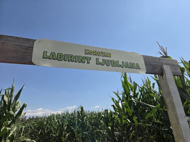 Vhod Koruzni labirint Ljubljana