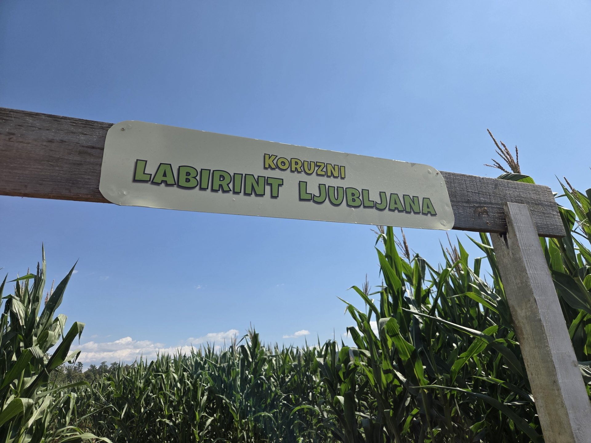 Vhod Koruzni labirint Ljubljana
